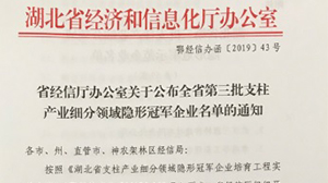 星空平台-星空（中国）电子被认定为“湖北省支柱产业细分领域隐形冠军示范企业”